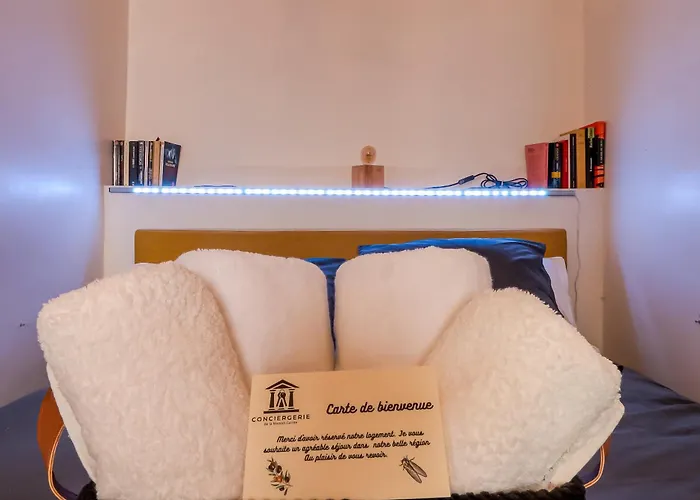 Apartment Le Vintage, Appart,hotel Particulier, Centre Maisoncarreeconciergerie *